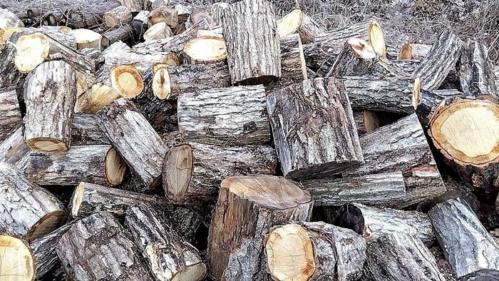 割ったばかりの薪の断面。よく乾いた岩手県産の広葉樹薪