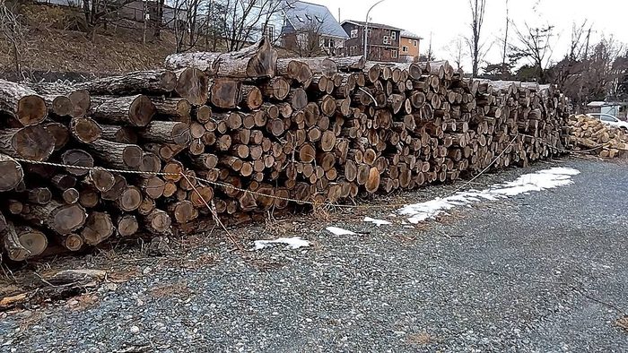 日の当たる屋外で積み上げて乾かす広葉樹の薪